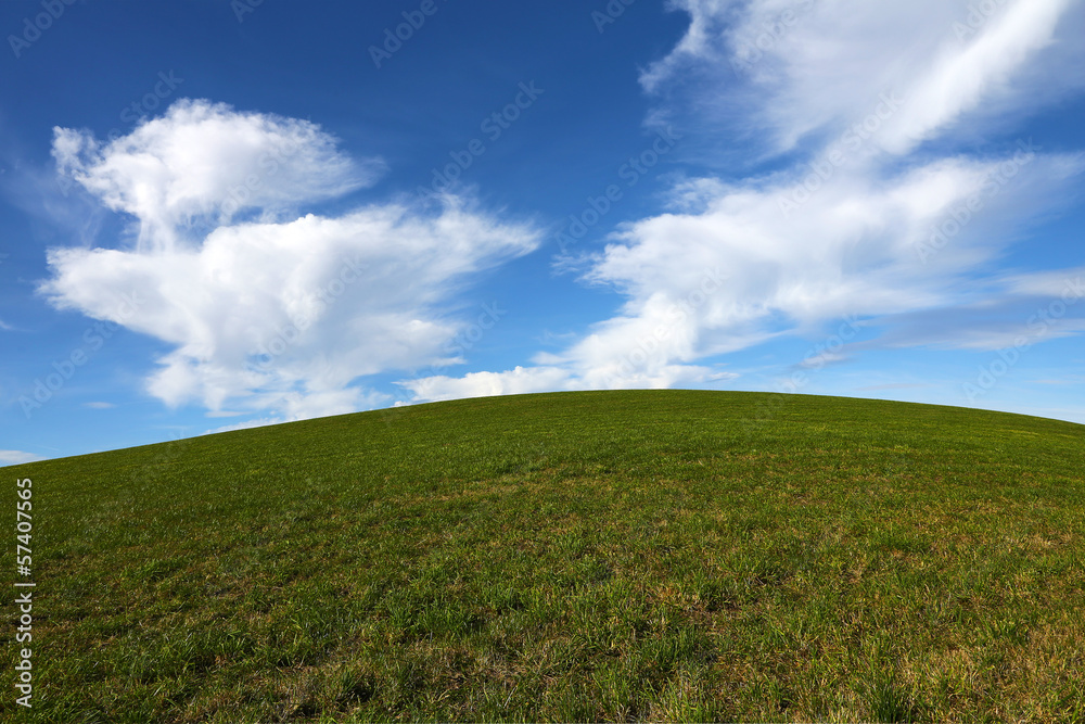 grüne Wiese mit blauem Wolkenhintergrund grüne Wiese mit blauem Wolkenhintergrund