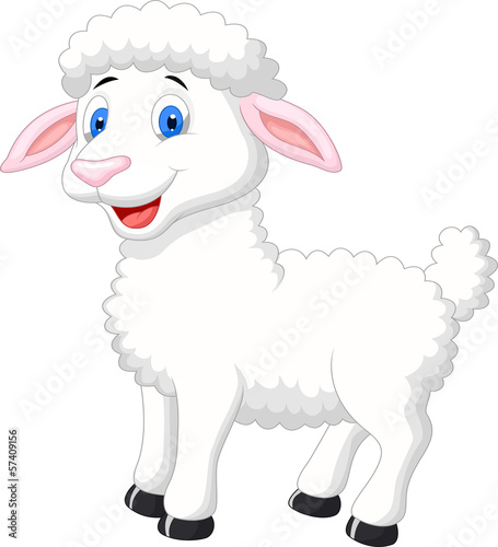 Cute sheep cartoon