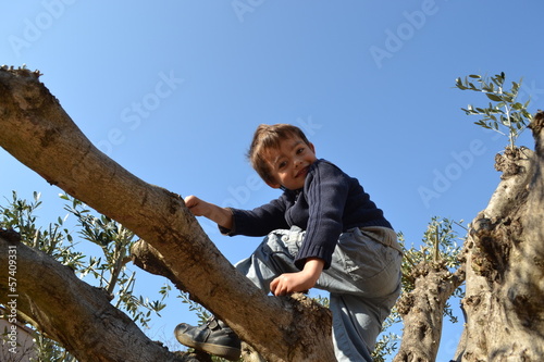 enfant qui sourit, grimpé dans un arbre