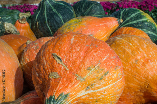 Photos Orange hubbard squash on display at market