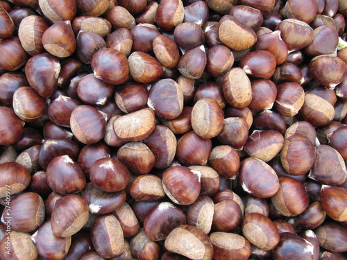 Chestnut harvest, castañas.