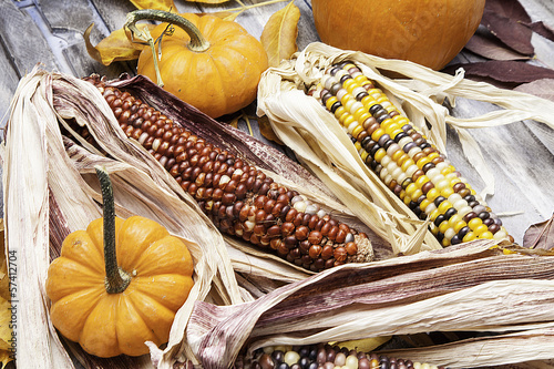 Pumpkins and Corn photo