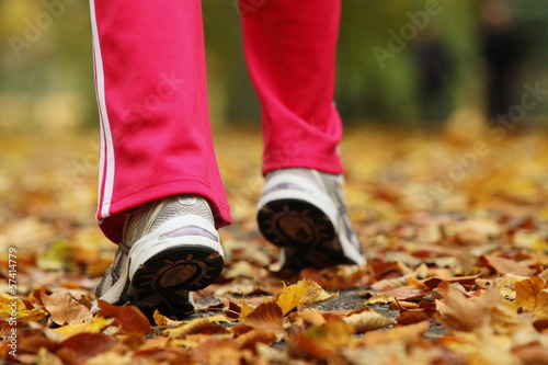 Runner legs running shoes. Woman jogging in autumn park