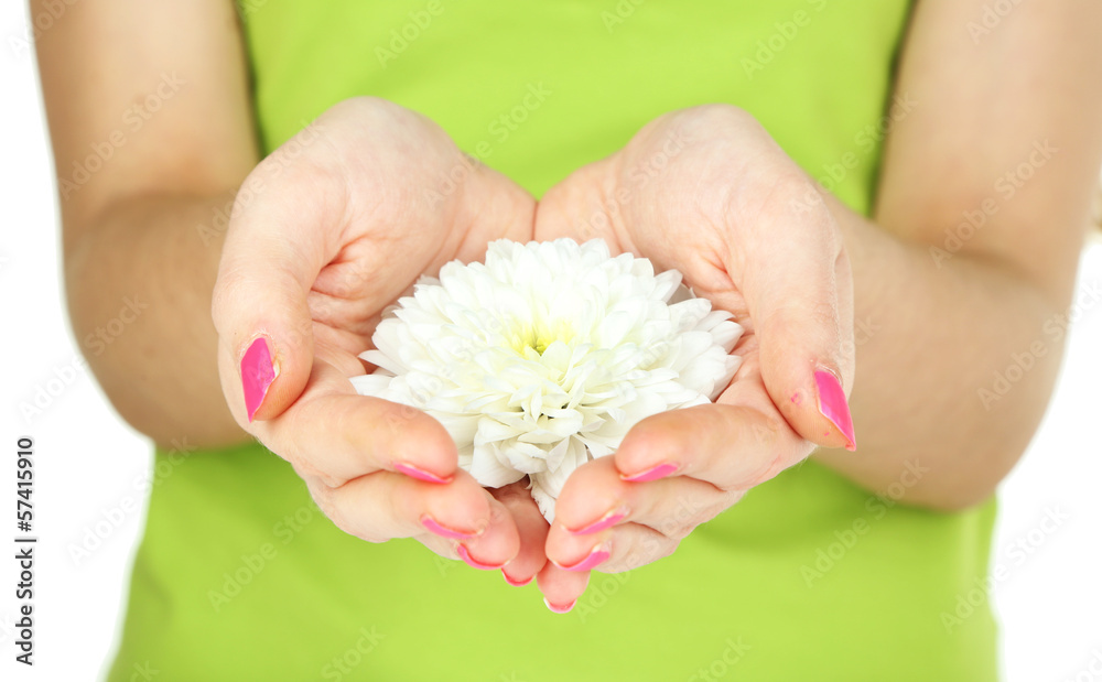 Beautiful white flower in women hands isolated on white Beautiful white flower in women hands isolated on white