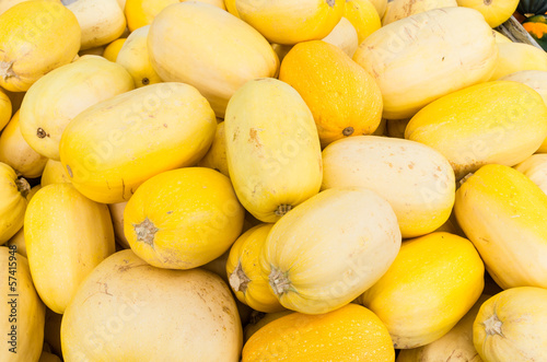 Spaghetti squash at the farmers market photo