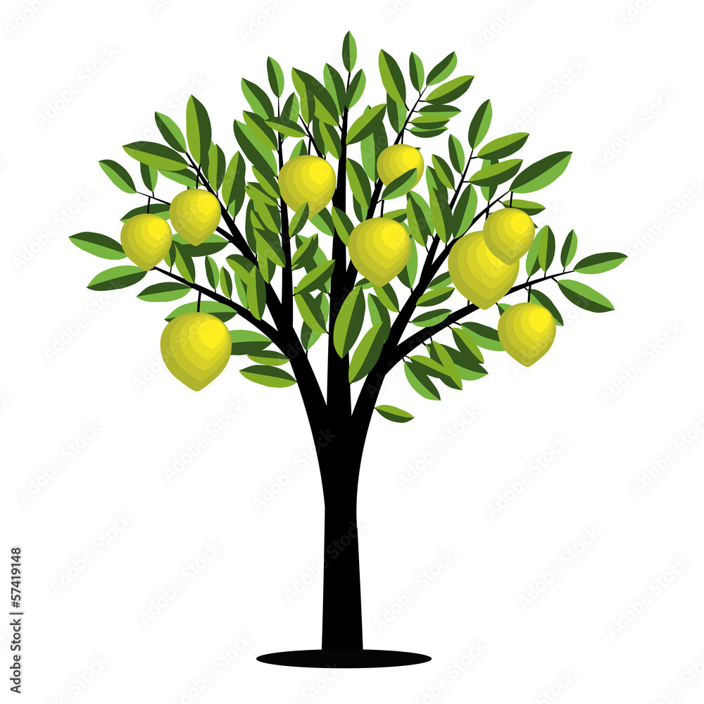 Lemon tree