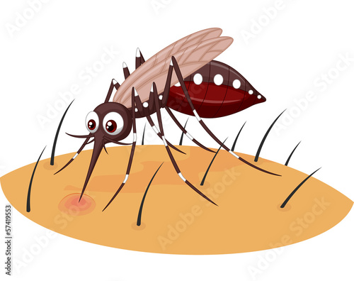 Mosquito cartoon sucking blood from human skin