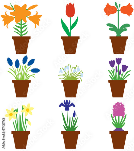 Fototapeta Naklejka Na Ścianę i Meble -  Set bulbs flowers in pots