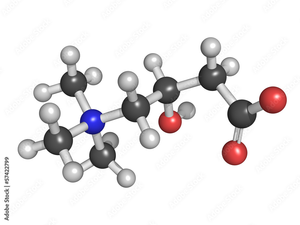 Carnitine food supplement molecule, chemical structure Carnitine food supplement molecule, chemical structure