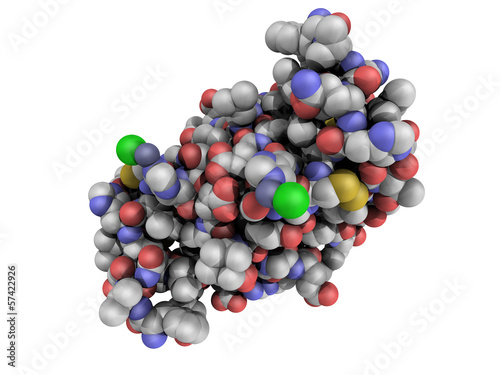 Chemical structure of a human insulin molecule photo