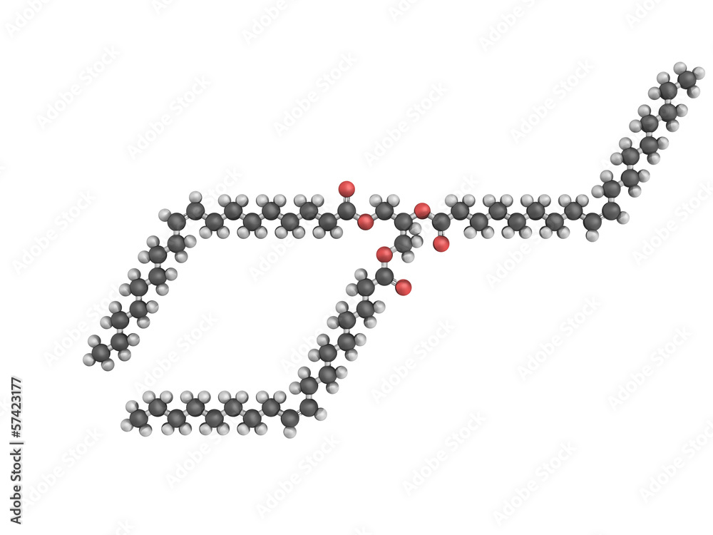 3d model of triolein molecule 3d model of triolein molecule