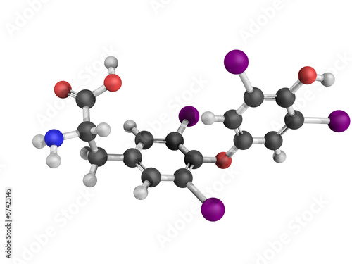 Fototapeta Naklejka Na Ścianę i Meble -  Thyroxine thyroid gland hormone molecule