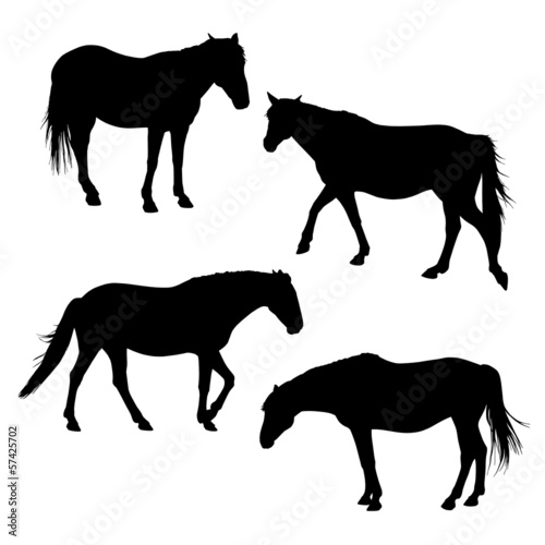 horses silhouettes set 3