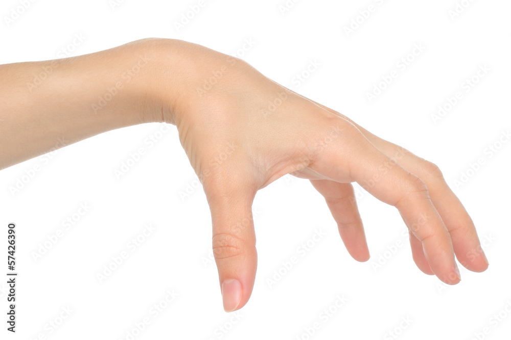 Woman hand on white background. Woman hand on white background.