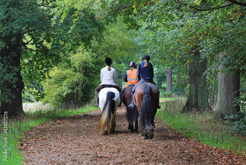 Girl Riding a white Horse