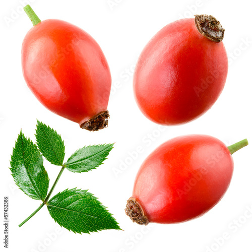 Rose hip isolated on a white. Collection