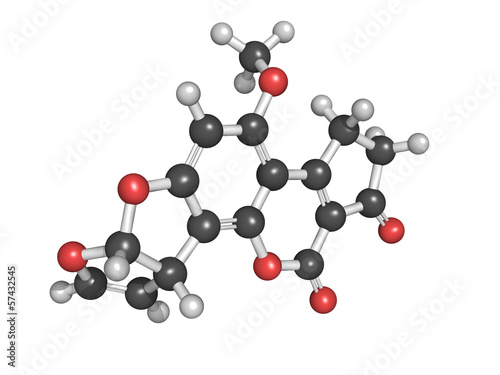 Aflatoxins are carcinogenic metabolites