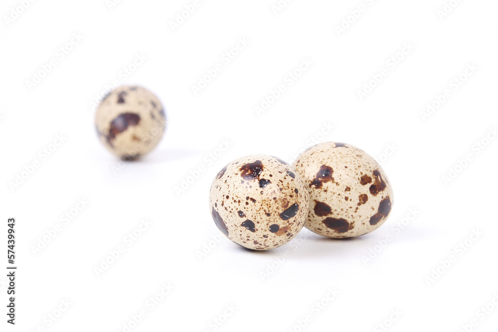 Fototapeta premium quail eggs