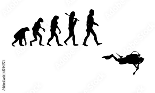 Evolution Diving