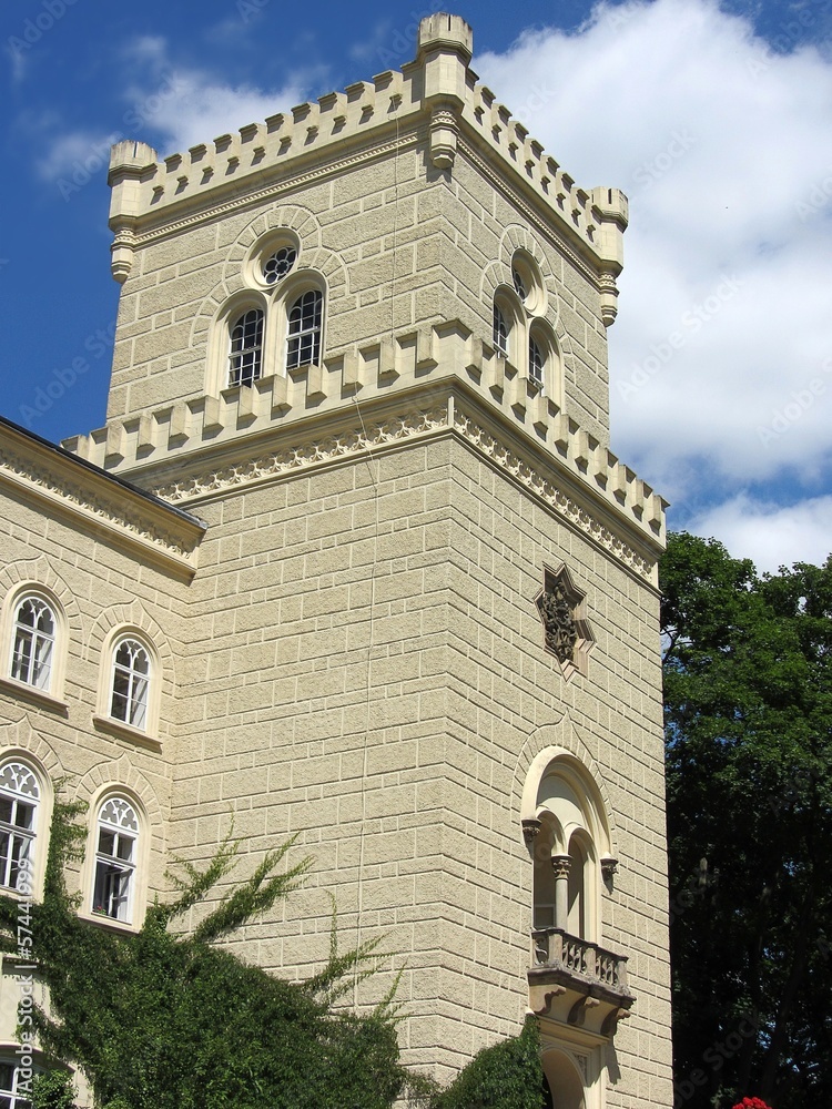 Fototapeta premium chesy