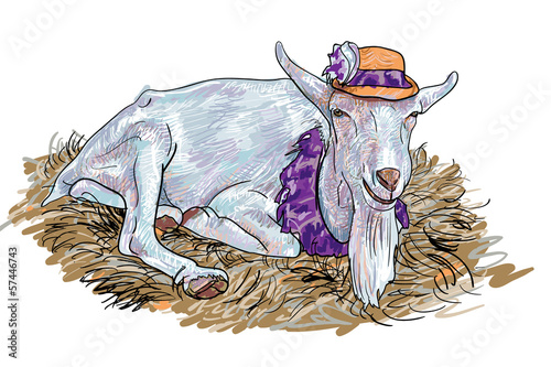 The goat on haystack
