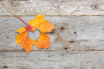 Fall in love photo metaphor