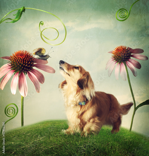 Dog and snail in friendship in fantasy landscape