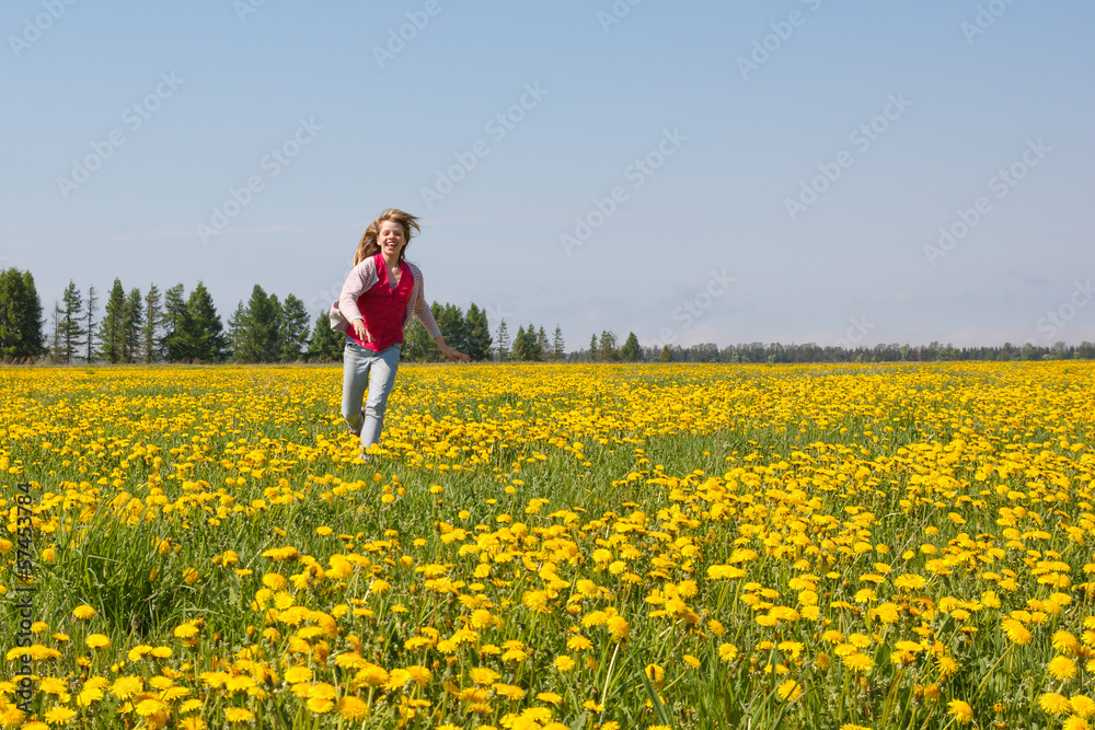 dandelion meadow dandelion meadow