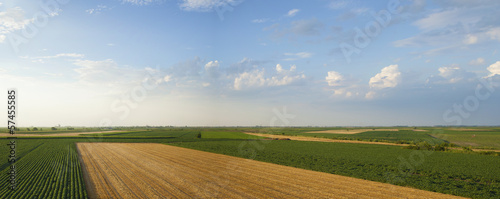 Summer crops panorama with soybean, wheat and corn fields.