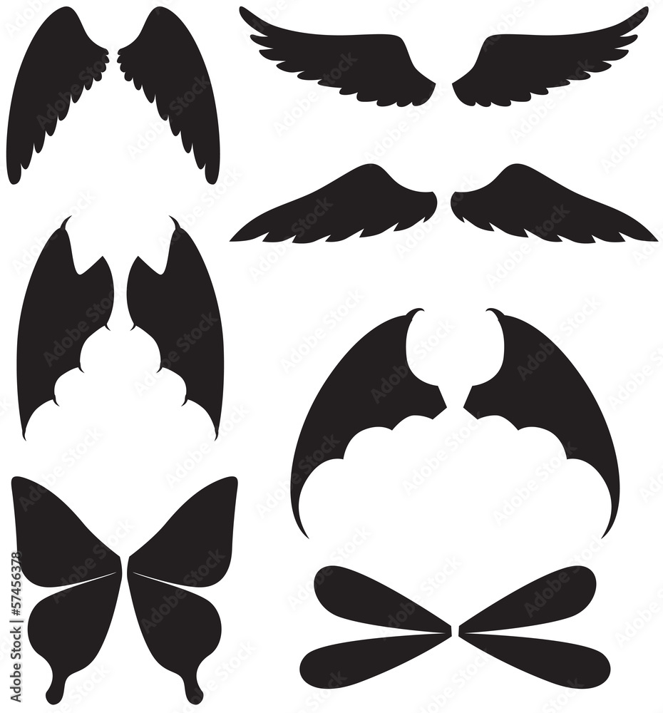 Wings set Wings set