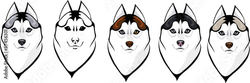 clever wolf
