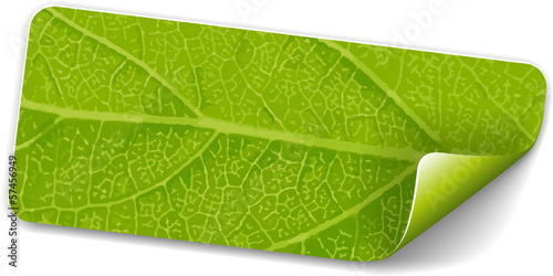 Label green leaf
