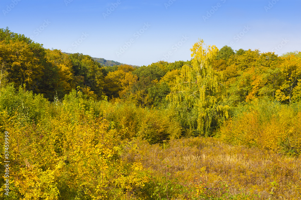 Beautiful autumn view - Autumn Landscape