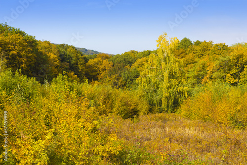 Fototapeta Naklejka Na Ścianę i Meble -  Beautiful autumn view - Autumn Landscape