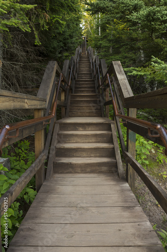 Stairs In Woods