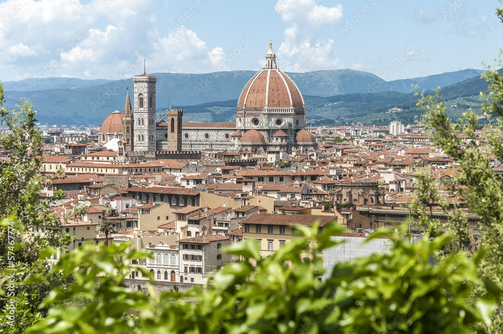 Fototapeta premium The Basilica di Santa Maria del Fiore in Florence, Italy