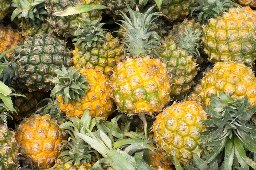 pineapple pineapple