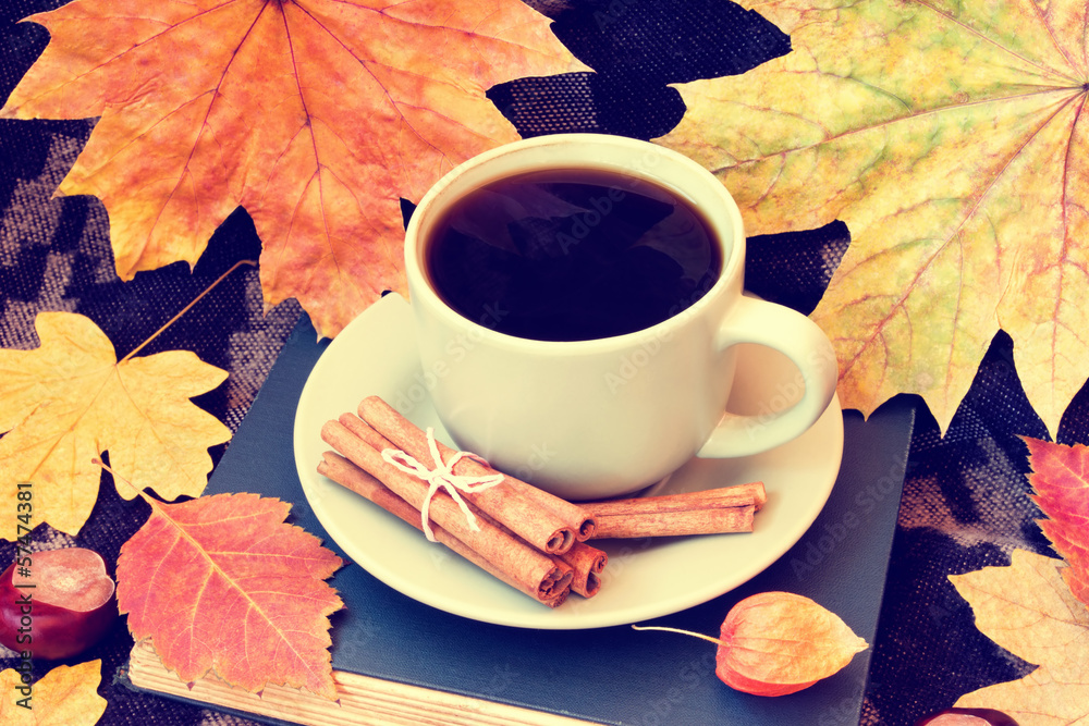 hot cup of coffee with cinnamon on plaid hot cup of coffee with cinnamon on plaid