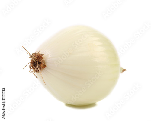 Close up of white onion.