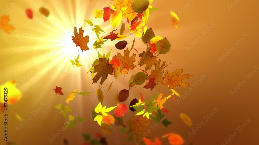 Autumn falling leaves