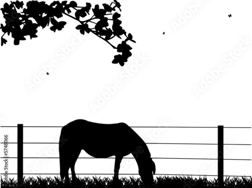 Horse on grassland silhouette layered