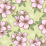 Seamless pattern with cherry blossom