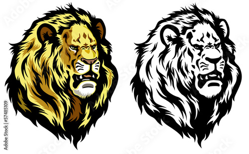 Fototapeta Naklejka Na Ścianę i Meble -  head of lion