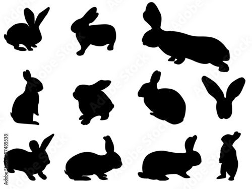 Easter bunny set illustrated on white
