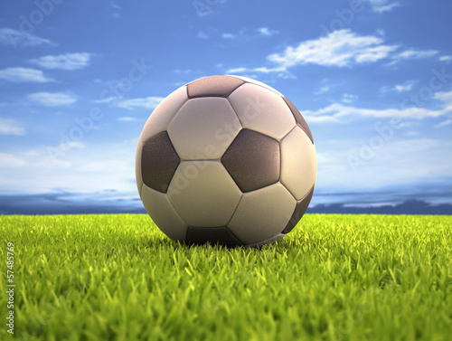 Soccer Ball. Clipping path on the ball.