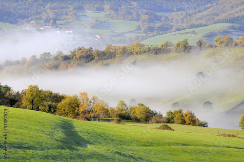 green pasture with trees and shrubs, on a cold morning with fog photo