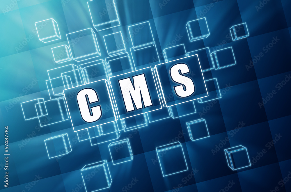 CMS in blue glass cubes - internet concept