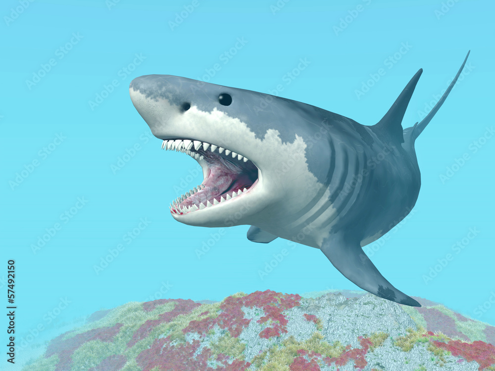 Naklejka premium Great White Shark
