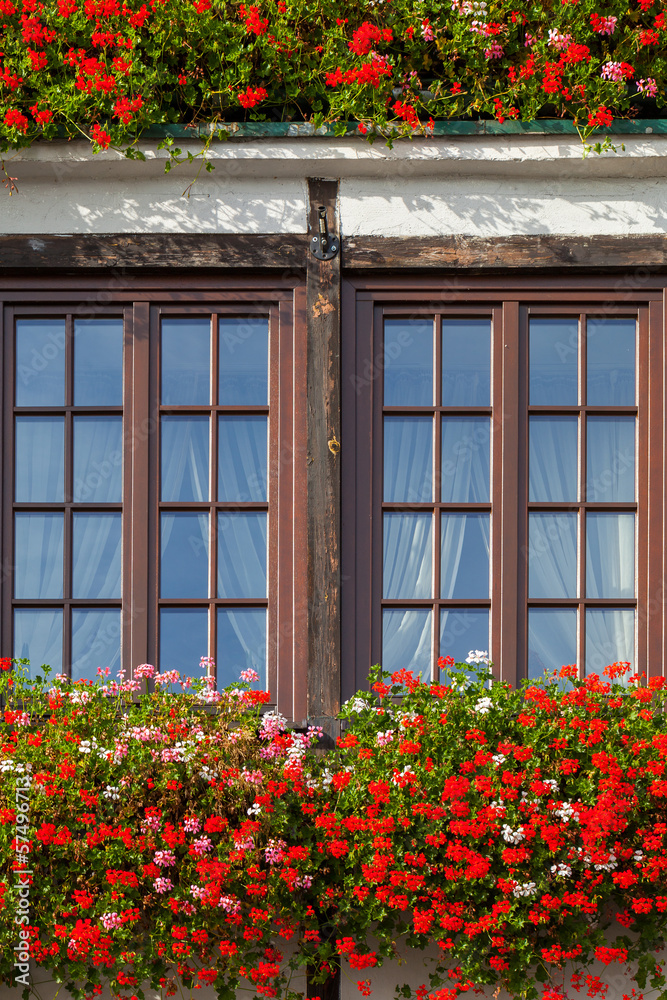 Window in flowers