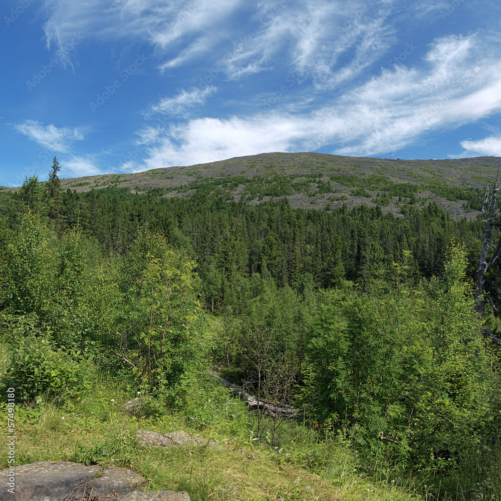 View from the camp Glade of Artists, Northern Ural Mountains